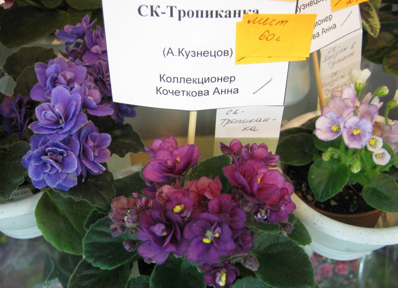 IMG_1093.JPG