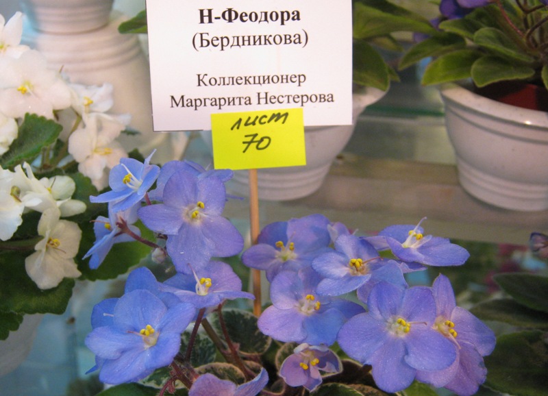 IMG_1069.JPG