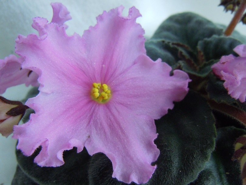 DSCN8875.JPG