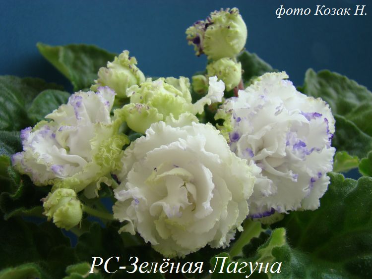 DSC08257.JPG