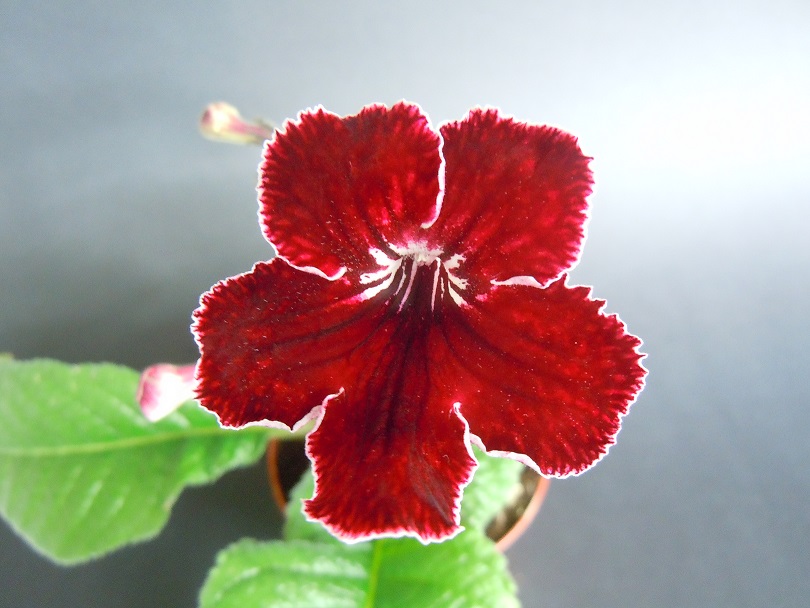 DSCN9226.JPG