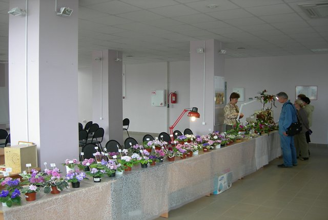 Первые посетители_rs .jpg
