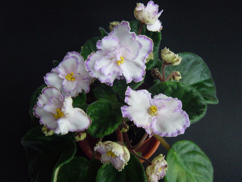 DSCN9262.JPG