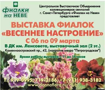 афиша.JPG