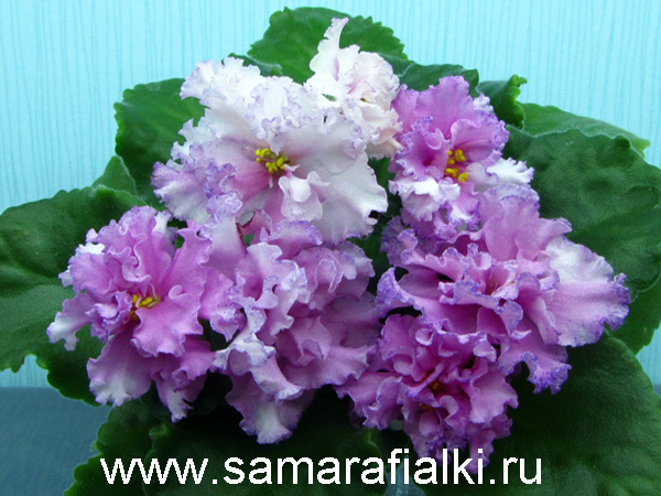 ЛЕ-турмалиновое Колье.jpg