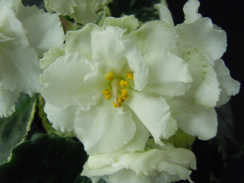 DSCN9333.JPG