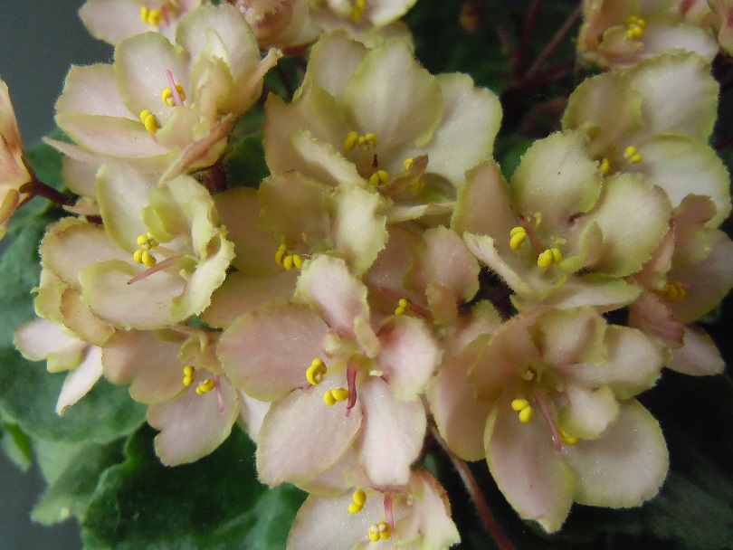 DSCN9331.JPG