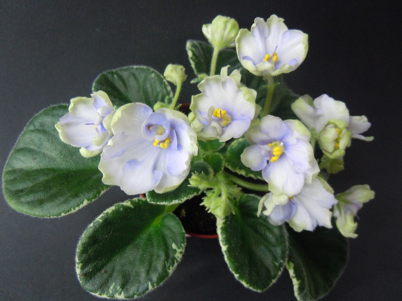 DSCN9324.JPG