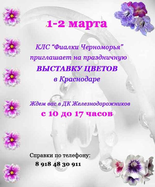 краснодар-объявление.jpg