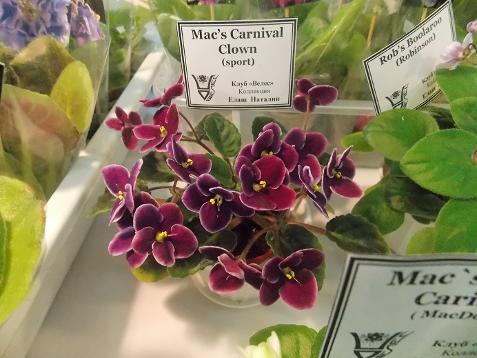 DSCN4859.jpg