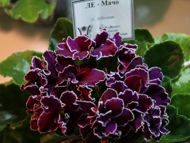055_2014-02-14.jpg