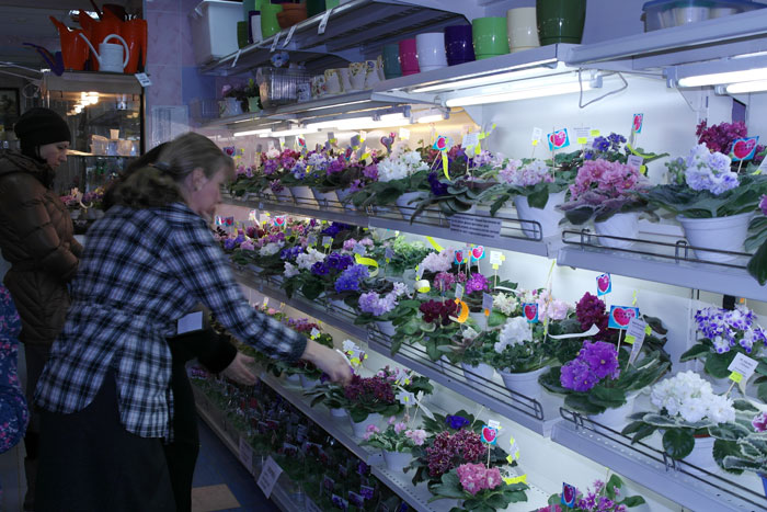 полки.jpg