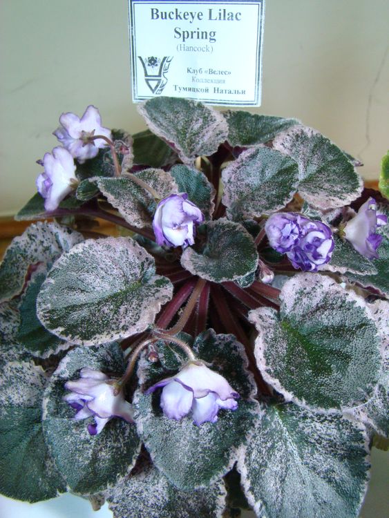 DSC01053.JPG
