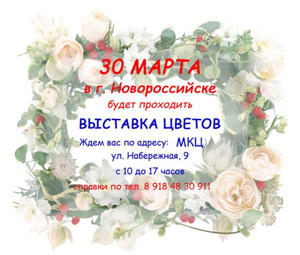 новороссийск1.jpg