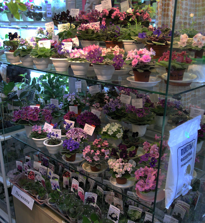 P3274681.JPG