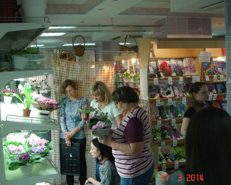 DSC00011.jpg