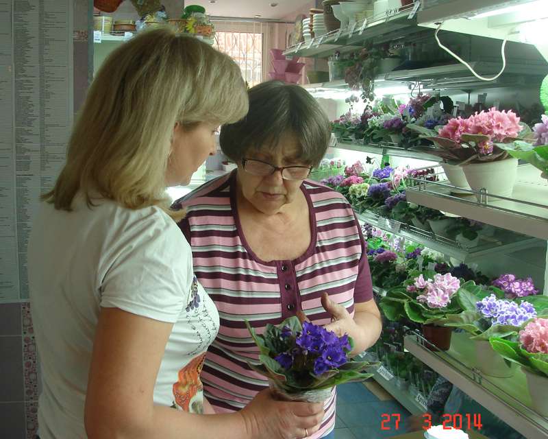DSC00016.jpg