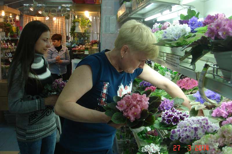DSC00035.jpg