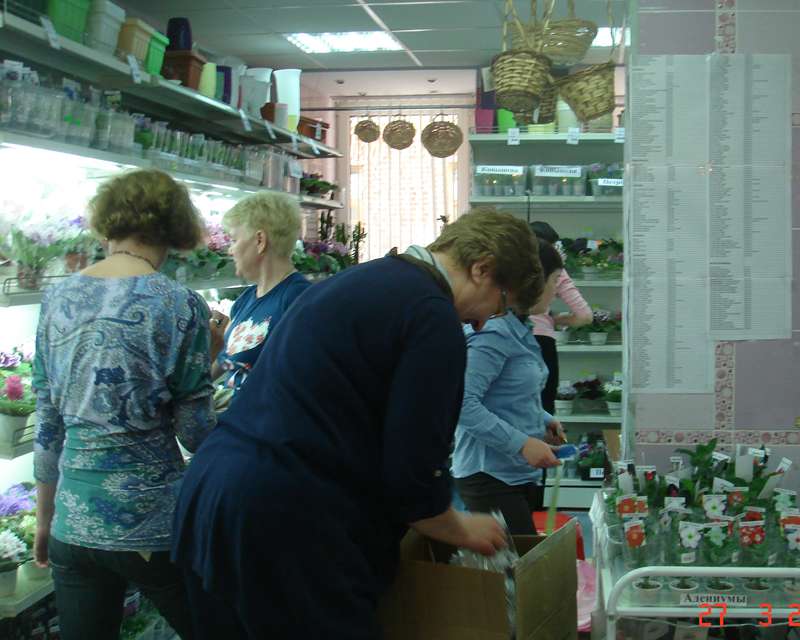 DSC00031.jpg