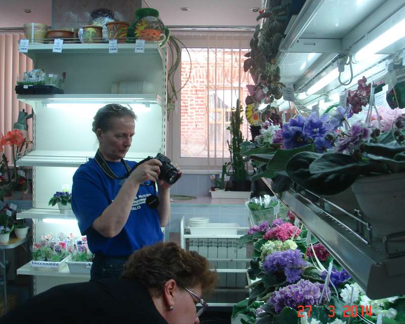DSC00033.jpg