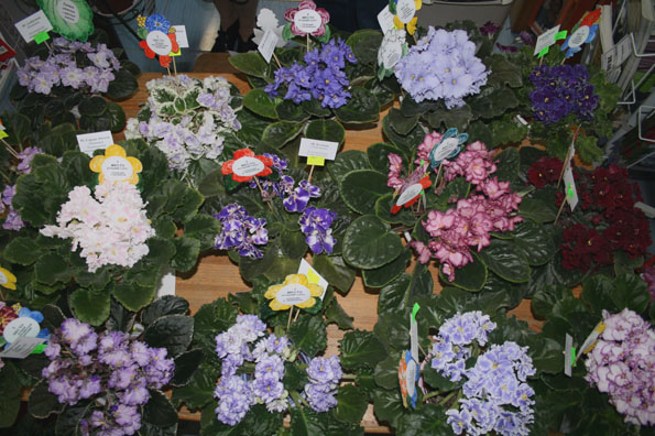 IMG_6942.JPG