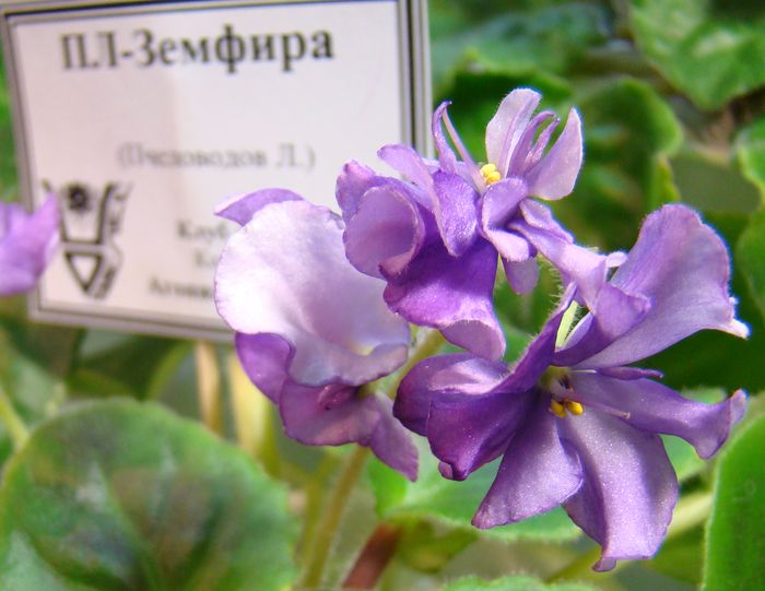 DSC01473.jpg