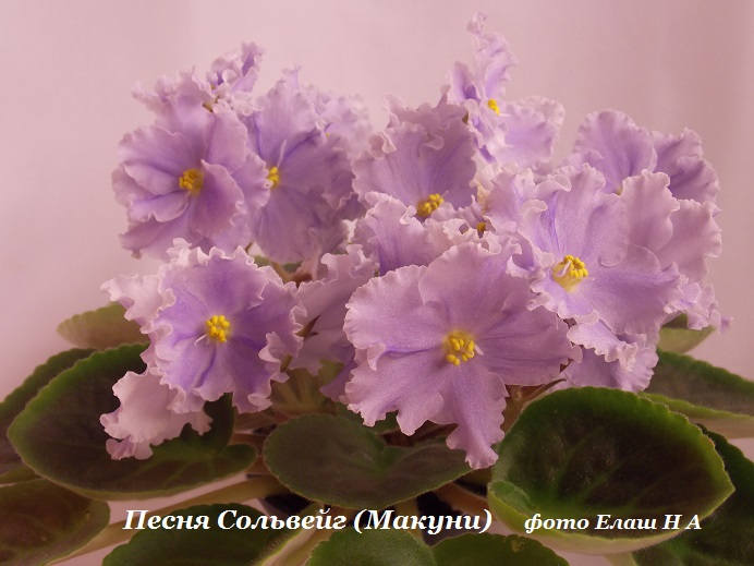DSCN5402.jpg