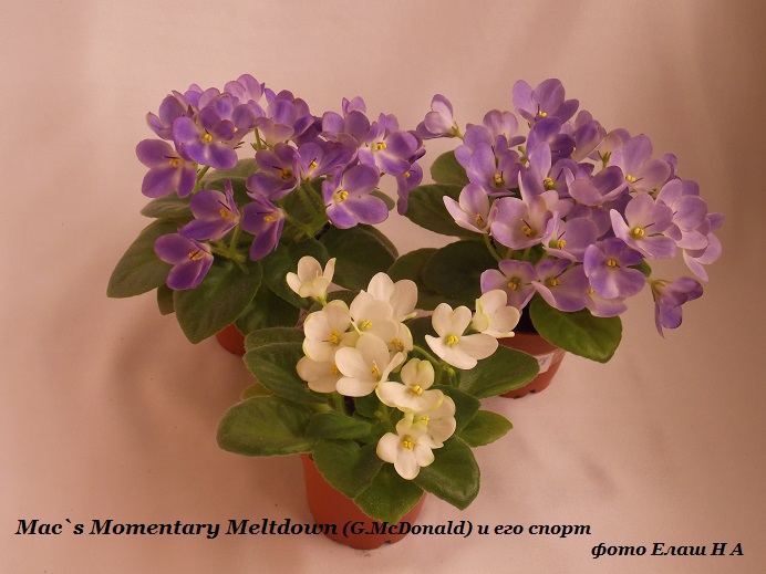 DSCN5523.jpg