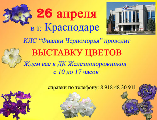 Краснодар-апрель1.jpg