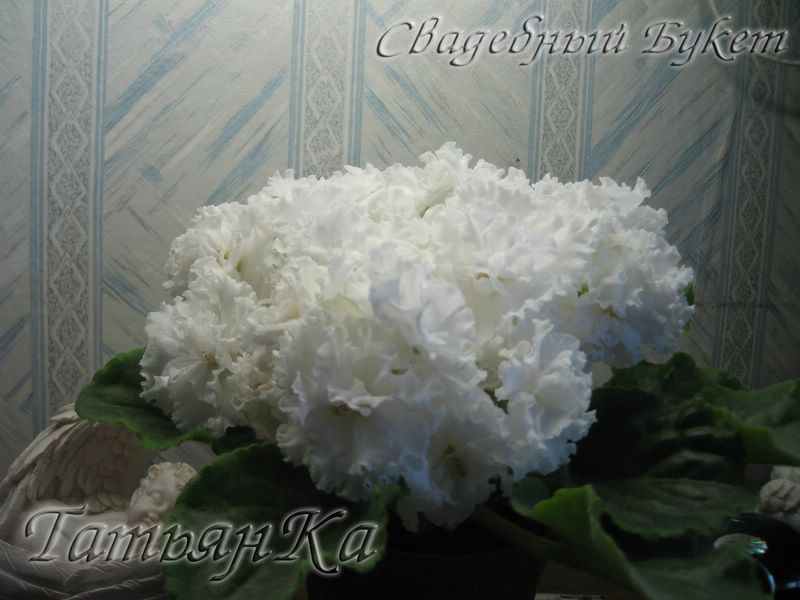 IMG_6949 [%P].JPG