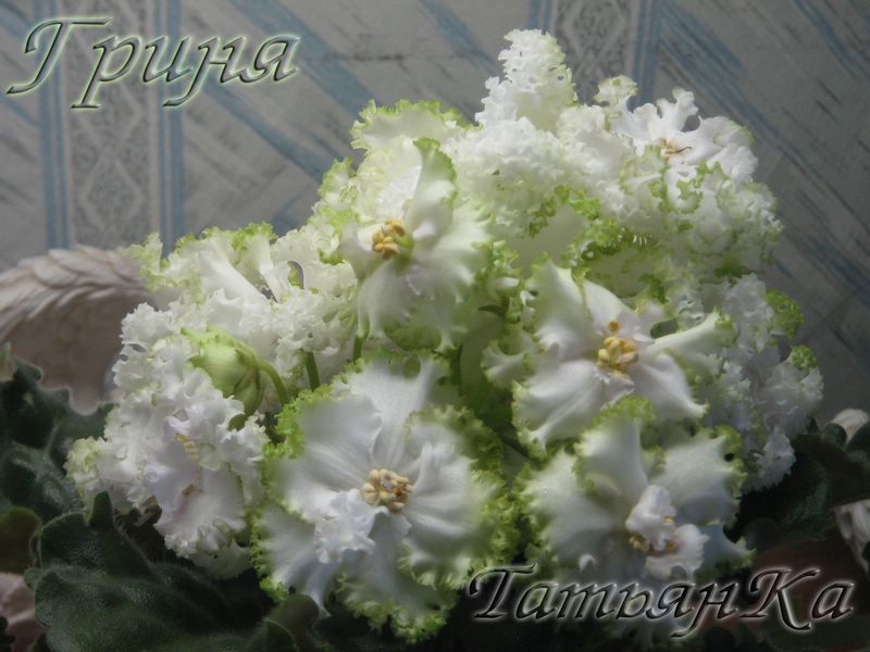 IMG_6932 [%P].JPG