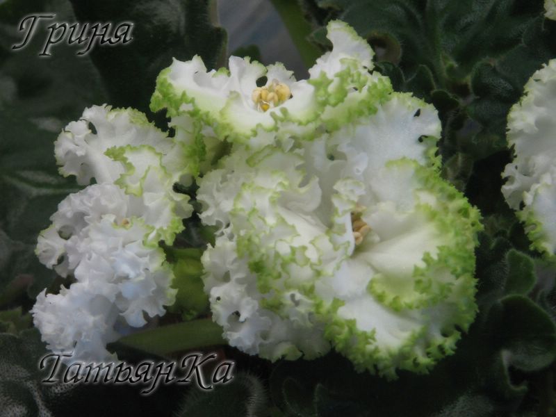 IMG_6381 [%P].JPG