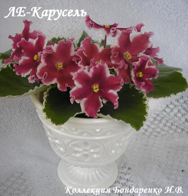 ЛЕ-Карусель00.JPG