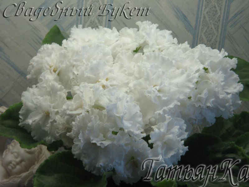 IMG_6944 [%P].JPG