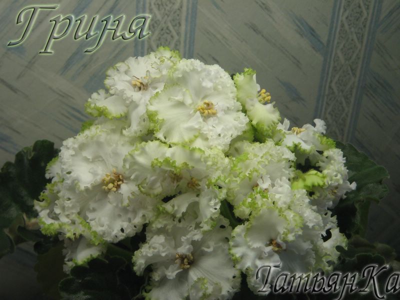 IMG_6929 [%P].JPG