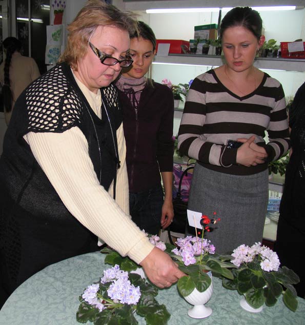 Судейство.jpg