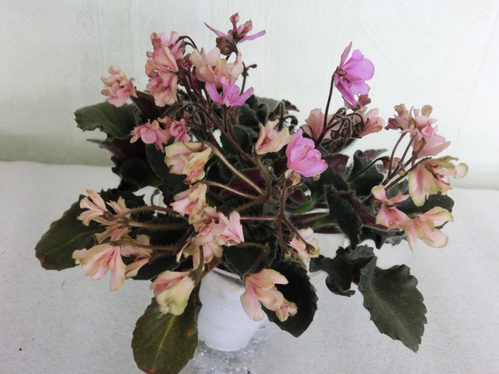 Imp’s-Pretty-Deadly.jpg