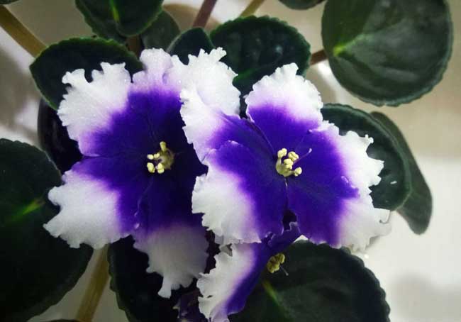 WP_20140428_015.jpg