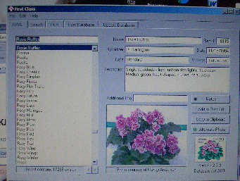 CIMG0010.JPG