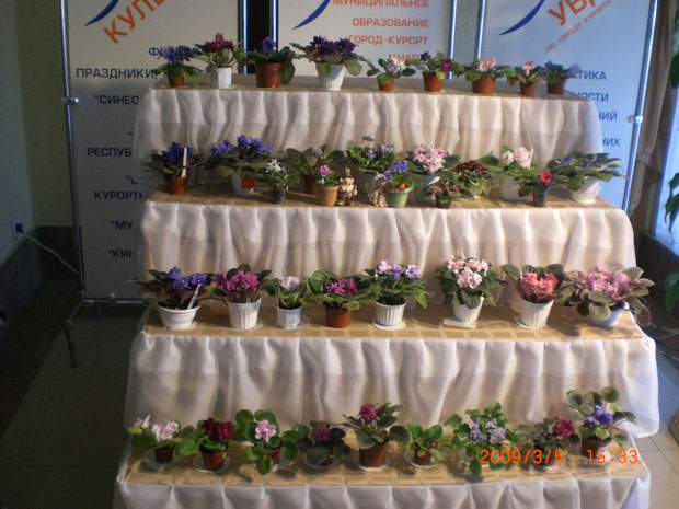 CIMG0528.jpg