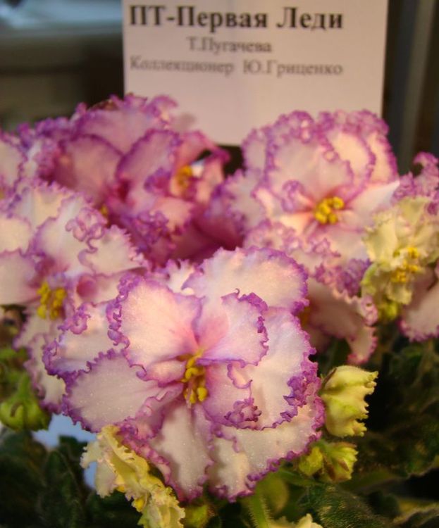 DSC04664.JPG