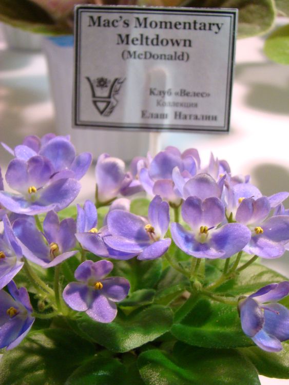 DSC04677.JPG