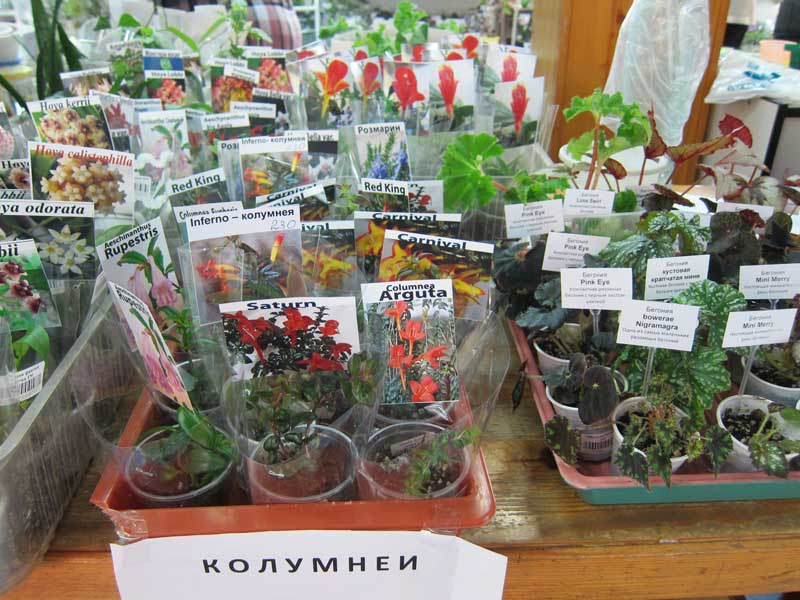 IMG_8569.jpg