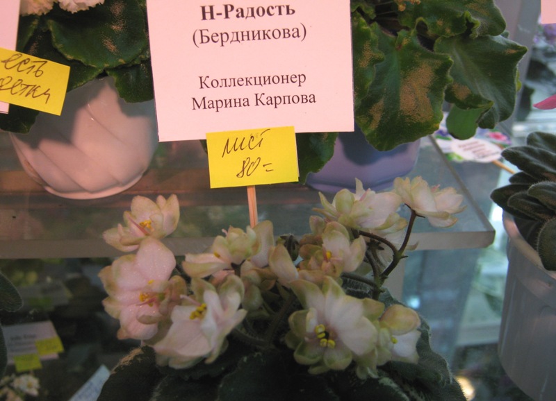 IMG_6877.JPG