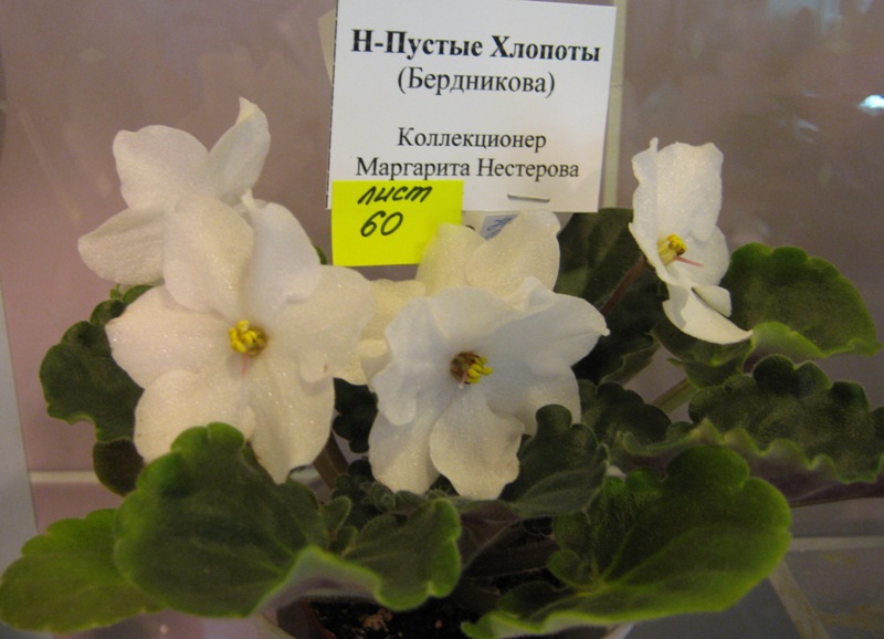IMG_6906.JPG