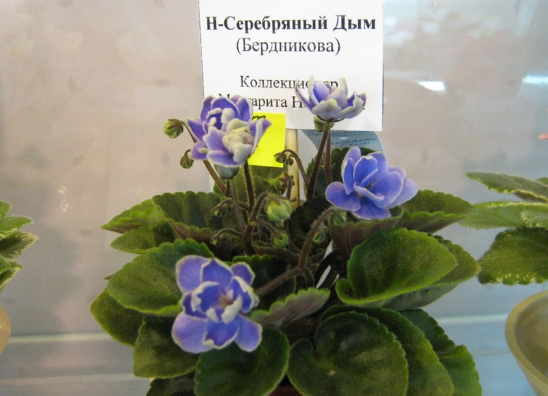 IMG_6910.JPG
