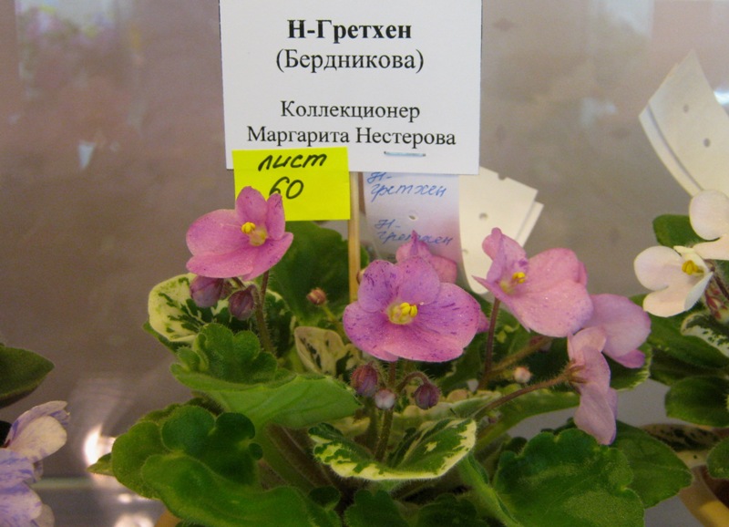 IMG_6908.JPG
