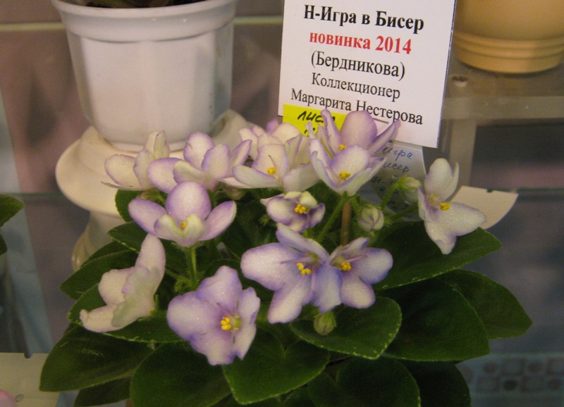 IMG_6920.JPG