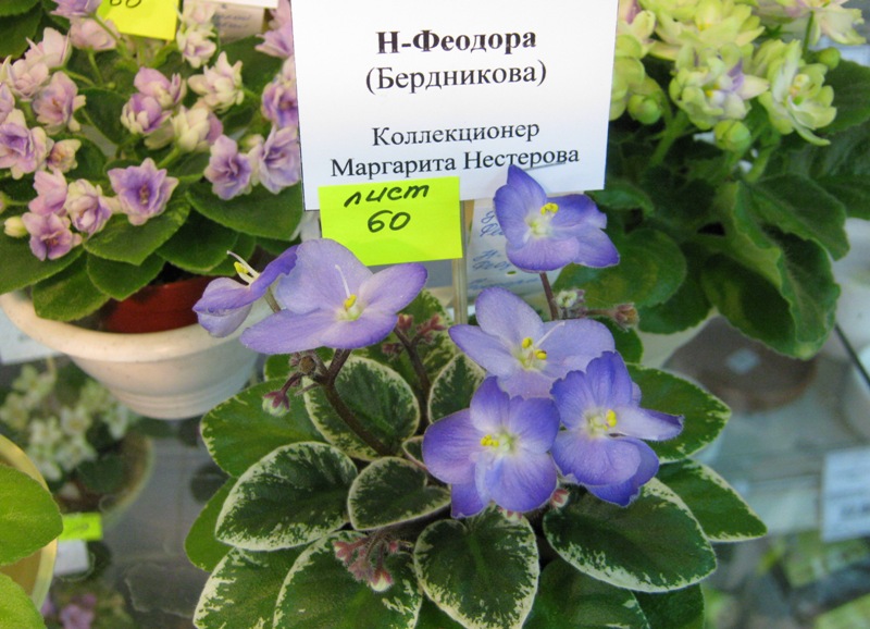 IMG_6932.JPG