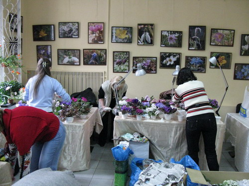 IMG_137612.jpg